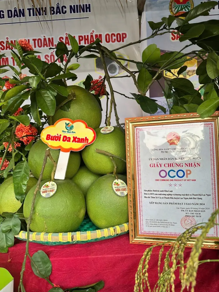 Hoa Quả Sơn – Nhà vườn Hữu Luật