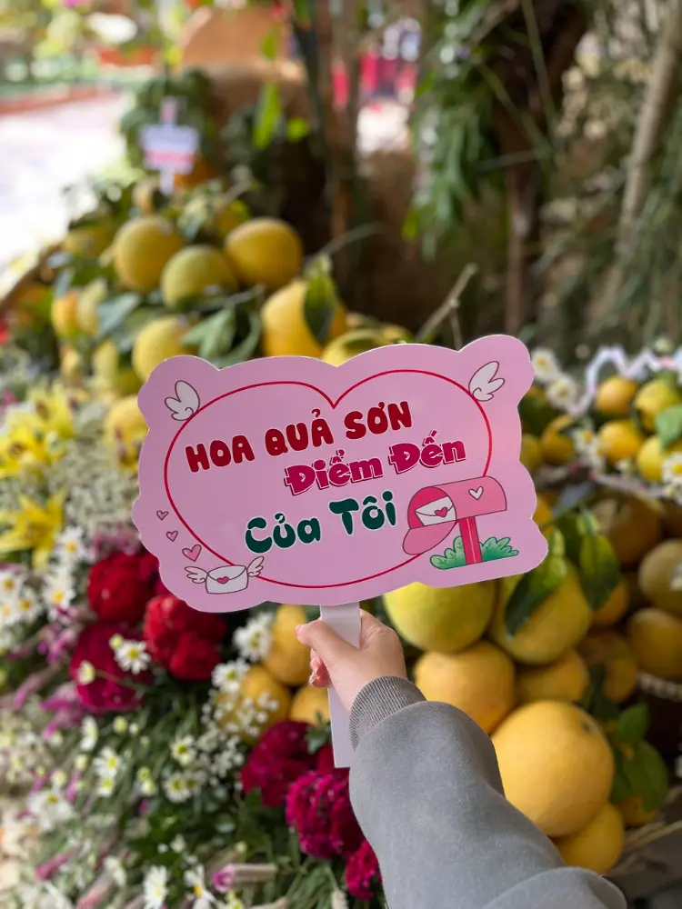Hoa Quả Sơn – Nhà vườn Hữu Luật