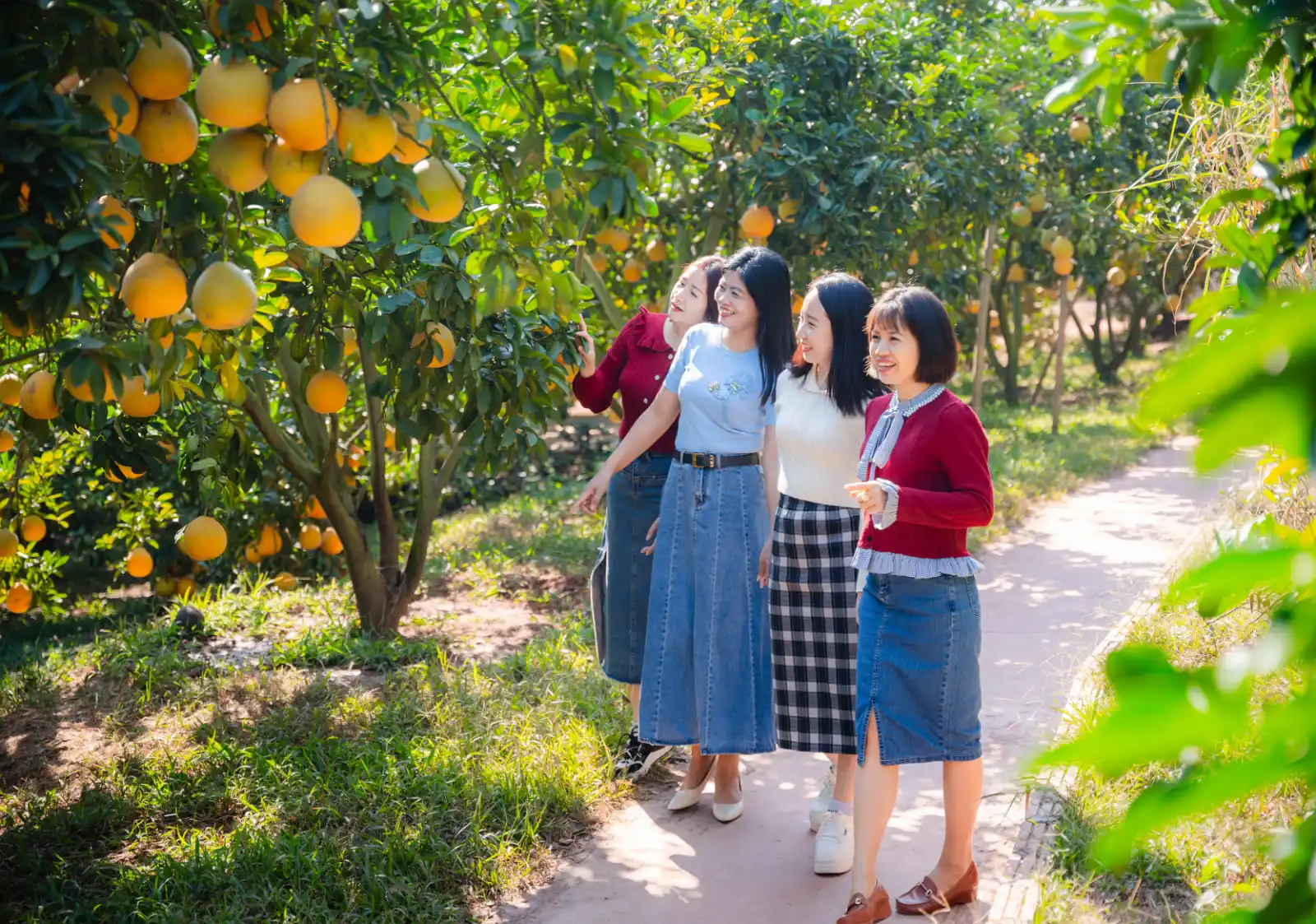 Hoa Quả Sơn – Nhà vườn Hữu Luật