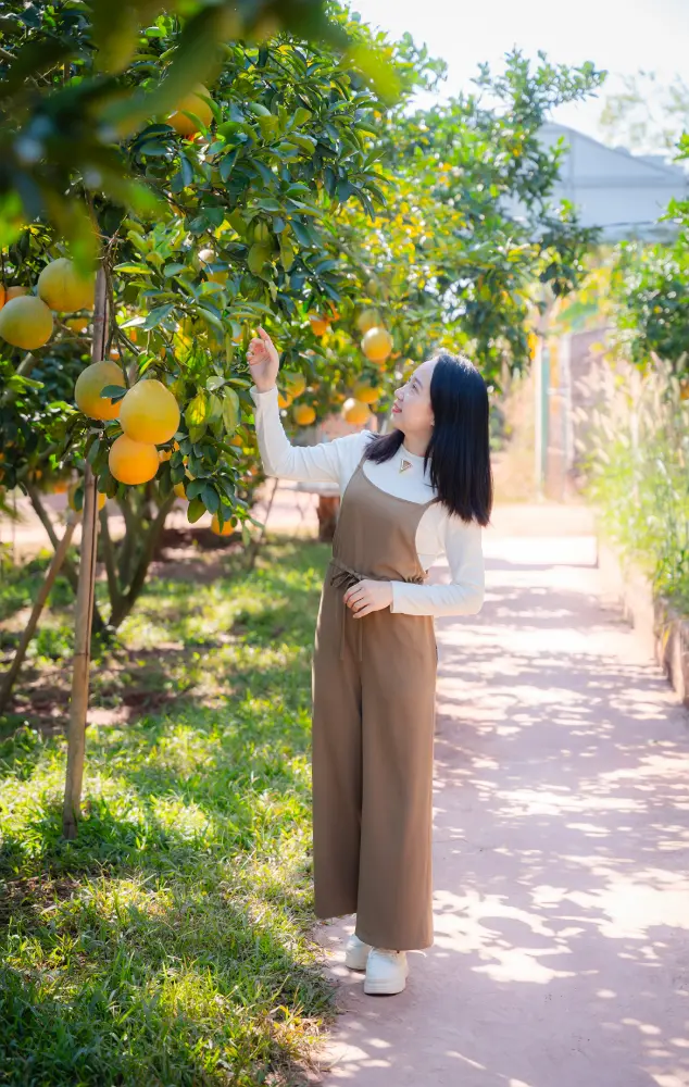 Cắm trại dã ngoại