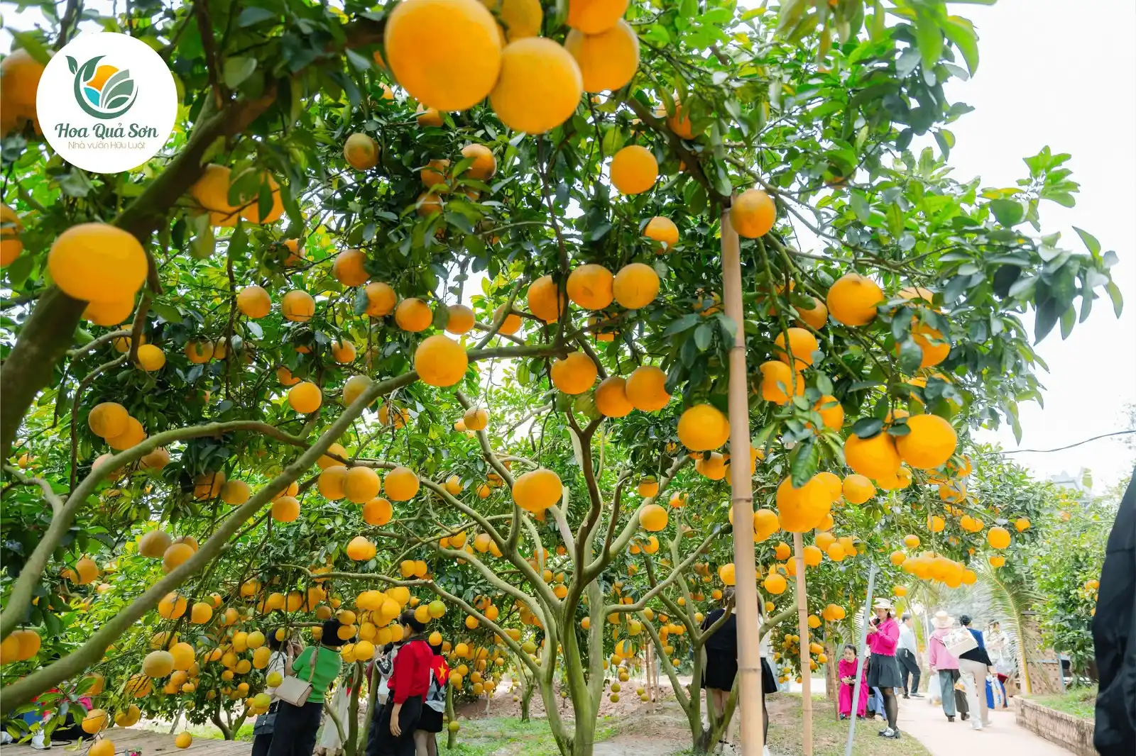 Sự kiện doanh nghiệp